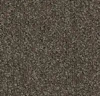 Coral Classic 4764 Taupe 155 cm breed
