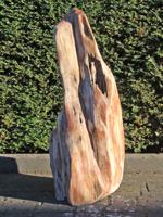 Versteend hout 250326, 78 cm