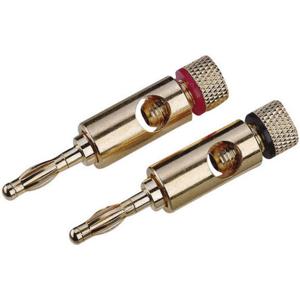 High-End Luidsprekerconnector Stekker, recht Aantal polen: 1 Goud 2 stuk(s)