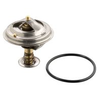 Thermostaat 10263