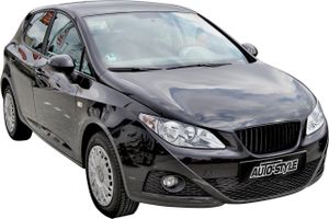 Embleemloze Grill Seat Ibiza 6J 3/5-deurs 2008- excl. Facelift DXSG865