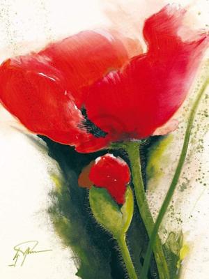 Kunstdruk Gerd Pflumm - Faszination Mohn II 60x80cm