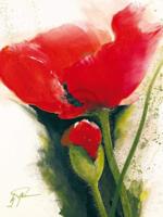 Kunstdruk Gerd Pflumm - Faszination Mohn II 60x80cm