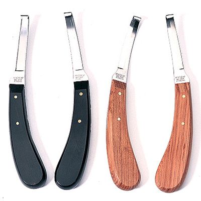 Hoefmes Aesculap Links