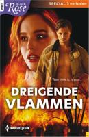 Dreigende vlammen - Cassie Miles, Danica Winters, Dani Sinclair - ebook