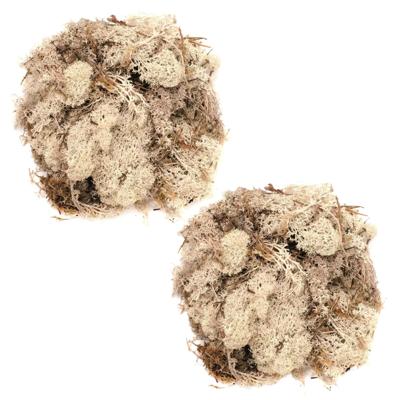 Decoratie nep mos - 2x - naturel - 50 gram - Hobby/knutselen - herfst/kerst thema decoreren