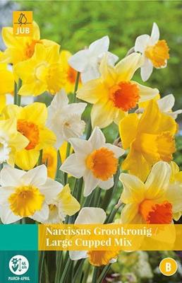 Narcissus Grootkronig mix 4 bollen - Jub