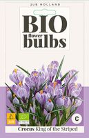 Crocus King of the Striped bloembollen 10 bollen Krokus JUB - Jub - thumbnail