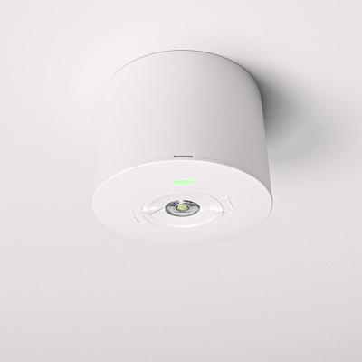 Locus - Noodverlichting opbouwspot wit - 2 Watt 300 Lumen - 6000K daglicht wit - IP20 stofdicht - Met testknop