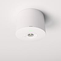 Locus - Noodverlichting opbouwspot wit - 2 Watt 300 Lumen - 6000K daglicht wit - IP20 stofdicht - Met testknop