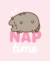Pusheen fleeceplaid NAP 130x160cm