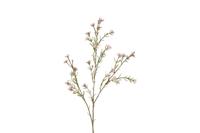 Decostar zijdebloem van wax tamara 78 cm roze