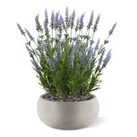 Lavendel kunstplant 50cm - blauw - UV bestendig