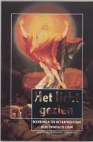 Het licht gezien (Paperback)