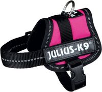 Julius k9 Power-harnas / tuig voor labels fuchsia - thumbnail