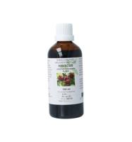 Hibiscus sabdariffa flor tinctuur