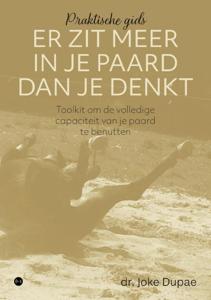 Er zit meer in je paard dan je denkt (Paperback)
