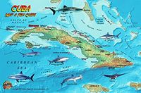 Waterkaart Fish Card Cuba Sea Dive Sites & Fish ID Card / Coral Reef Creatures | Franko Maps Waterkaart Fish Card Cuba Sea Dive Sites & Fish ID Card / Coral Reef Creatures | Franko Maps