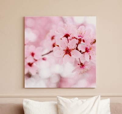 Canvas bloemen Roze bloei fotografie kunst