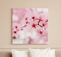 Canvas bloemen Roze bloei fotografie kunst