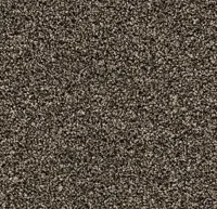 Coral Bright 2604 Virgin Sand 200 cm breed