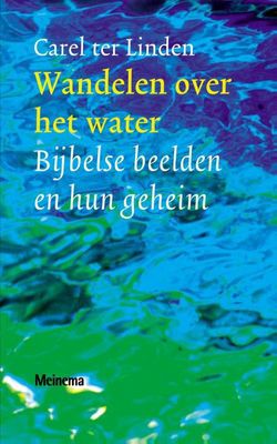 Wandelen over het water - Carel ter Linden - ebook