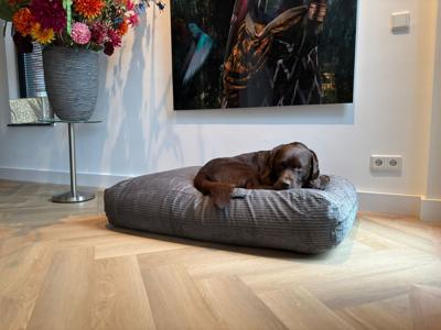 Dog's Companion® Hondenbed muisgrijs double ribcord superlarge Dog's Companion® Hondenbed muisgrijs double ribcord superlarge
