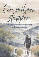 Een miljoen stappen - Tim Fleijsman - ebook