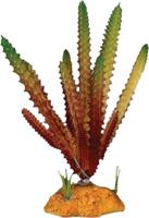 Plant cactus needle red Repto - Repto Plant cactus needle red Repto - Repto