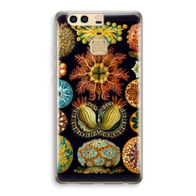 Haeckel Ascidiae: Huawei P9 Transparant Hoesje