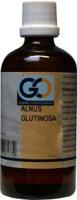 GO Alnus glutinosa