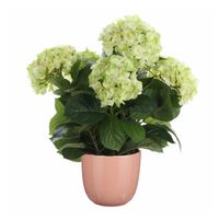 Hortensia kunstplant/kunstbloemen 45 cm - groen - in pot roze glans - Kunstplanten