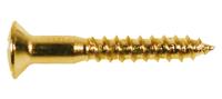 Boston WS-04-G