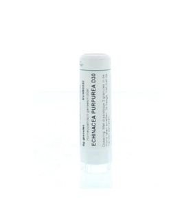 Echinacea purpurea D30