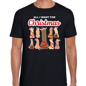 All I want for Christmas / piemels fout Kerst t-shirt zwart voor heren XL  -