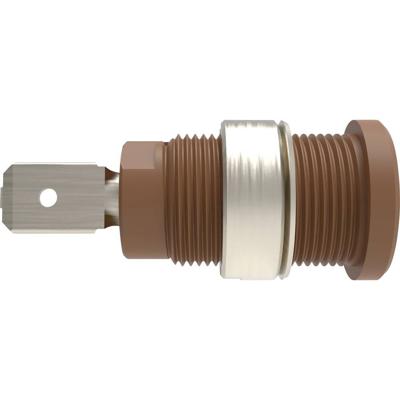 Schützinger DI SEB 7080 Ni / BR Veiligheids-inbouwbus Recht Bruin 1 stuk(s)