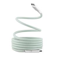 Kabel USB-C naar USB-C T'NB TCPDMAGGR 1,5 m Groen
