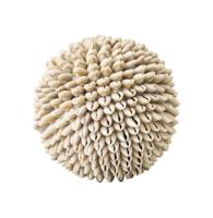 MUST Living Ornament 'Sand Shell' Schelpen MUST Living Ornament 'Sand Shell' Schelpen
