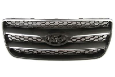 Radiateurgrille 6502073181990P