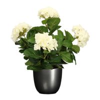 Hortensia kunstplant/kunstbloemen 45 cm - wit - in pot titanium grijs glans - thumbnail