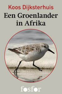 Een Groenlander in Afrika - Koos Dijksterhuis - ebook