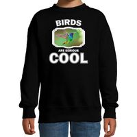 Dieren kolibrie vogel vliegend sweater zwart kinderen - birds are cool trui jongens en meisjes