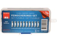 Max Hauri 128449 Buiszekering assortiment (Ø x l) 5 mm x 20 mm Snel -F- Inhoud 100 stuk(s) - thumbnail