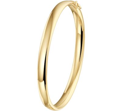 TFT Bangle Scharnier Ovale Buis 6 X 60 mm