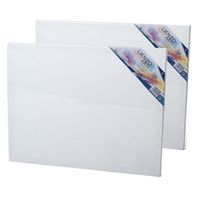 2x stuks canvas schildersdoeken 50 x 40 cm voor hobby verven/schilderen