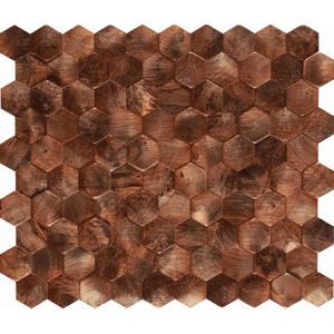 Mozaiek Tegels Dune Corten Hexagon 26x30.2 cm Bruin Dune