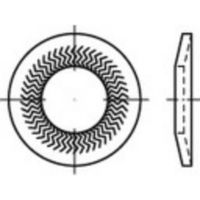 Grendelschijven 10 mm 16.1 mm Verenstaal Verzinkt 250 stuk(s) 159415