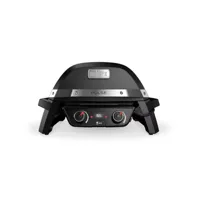 Weber Pulse 2000