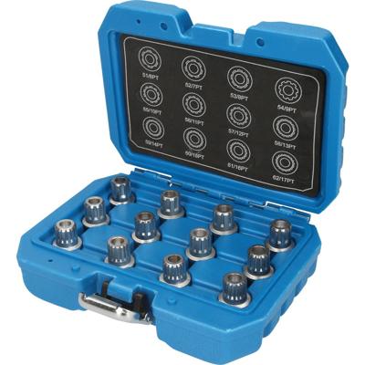 Brilliant Tools BT691190 Velgenslot-assortiment voor VW, 12-delig