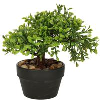 Kunstplant bonsai boompje in pot - Japans decoratie - 19 cm - Type Olive - thumbnail